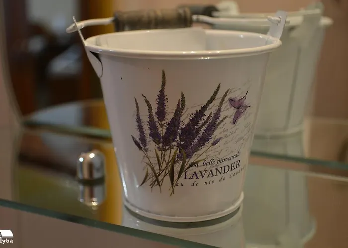 Zakarpatska Kolyba * אודסה