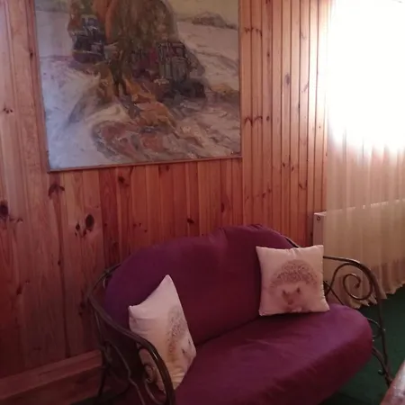 Hotel Zakarpatska Kolyba *