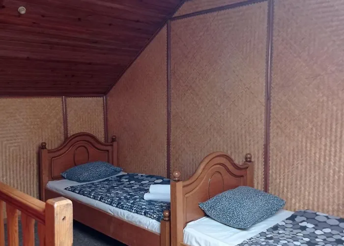 Zakarpatska Kolyba * Odesa